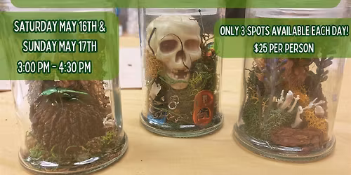 Bug Pinning & Display Class: Beginner - May 2026