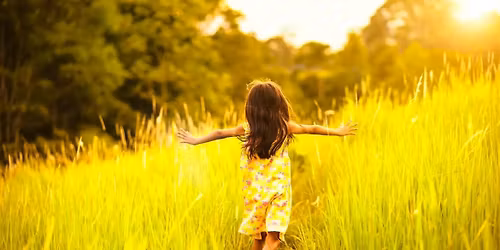 Formation Hiver\/printemps 2026 en Constellations Familiales et Syst\u00e9miques