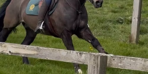 Day camp at Petworth Schooling course