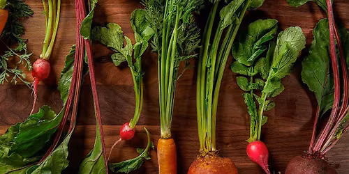 Growing Food in the Winter: Fresh Harvests All Season Long