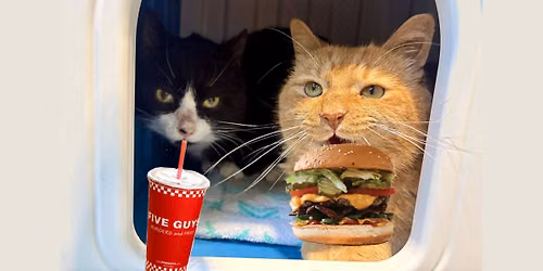 Five Guys Rotunda Drive Dine to Donate
