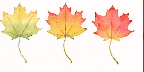 Autumn Leaves  Watercolor Workshop