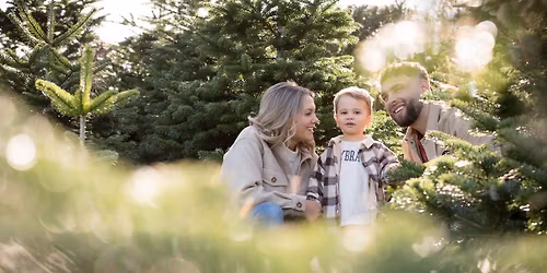 Christmas Tree Farm Mini Sessions