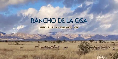Desert Museum Travel: Rancho de la Osa