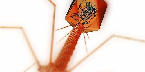 Science Cafe: How Can a Virus Cure a Disease?
