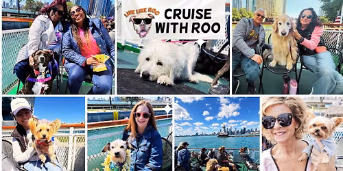 Cruise with Roo 