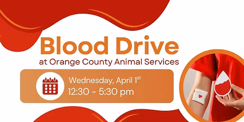 Blood Drive at OCAS!