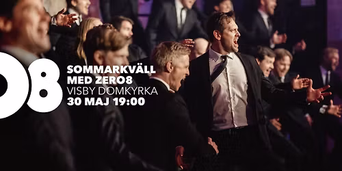 Sommarkv\u00e4ll med Zero8 i Visby