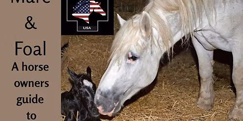 Mare and Foal- A Horse Owners Guide to Foaling