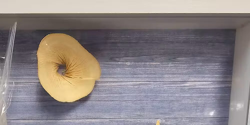 Shadow box class 3 sizes available