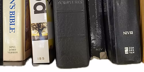 New Life In Christ Bible Study