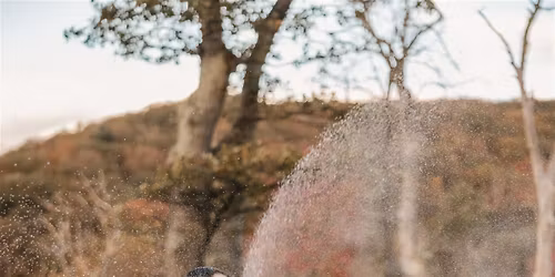 Sip Happens: Nick & Amy Finally Got Hitched