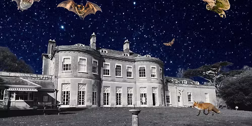 Nocturnal Discovery Walk