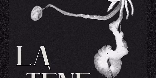 LA T\u00c8NE (FR\/CH) + CHIEN FER (BE)