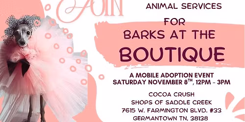 Barks at the Boutique