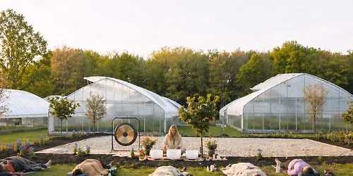 Sound Bath + Pick Your Own Dahlias (& more!)