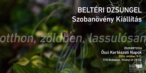 belt\u00e9ri dzsungel - Szoban\u00f6v\u00e9ny Ki\u00e1ll\u00edt\u00e1s