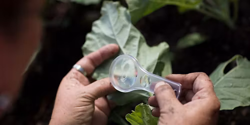 Good Bugs, Bad Bugs and Smart Pest Solutions for a Healthy Landscape