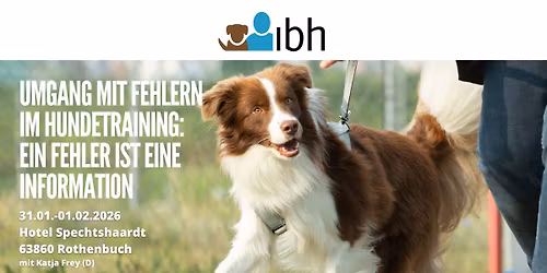 Umgang mit Fehlern im Hundetraining: Ein Fehler ist eine Information