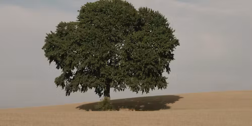 Guldimund, Saveus in Odense