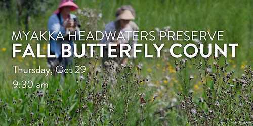 Myakka Headwaters Fall Butterfly Count