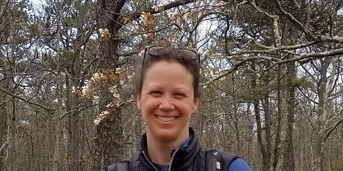 Connecticut Butterfly Atlas Project version 2.0 with Laura Saucier, CT DEEP
