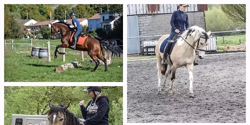 stage \u00e9quitation de travail