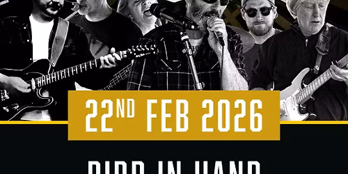 Mr. Skinflint Live at the Bird in Hand Fareham