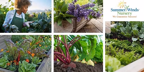 Glendale: Grow a Fresh Fall Garden: Herbs, Lettuce & Cool-Season Veggies