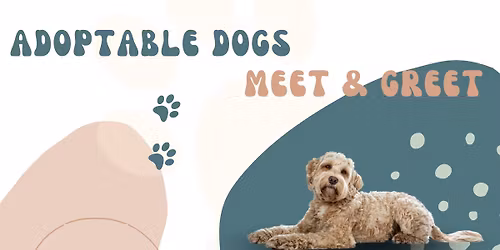 Adoptable Dogs Meet and Greet