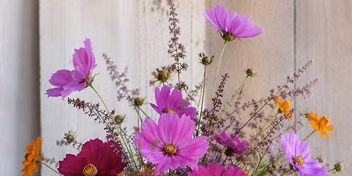 Cosmos: From Garden to Vase