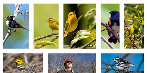 Festival of the Birds at Point Pelee National Park 