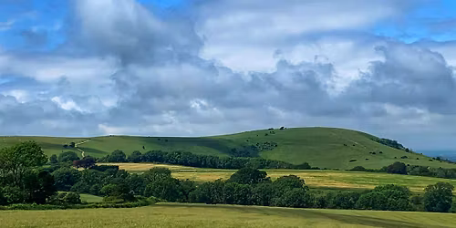 Midsummer Surrey Hills Three Peaks Challenge- Box, Leith and Holmbury Hill