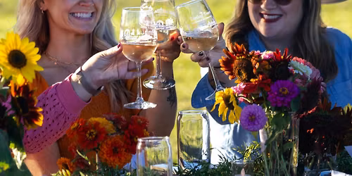 Sip & Chip - the ultimate wine & potato chip pairing affair