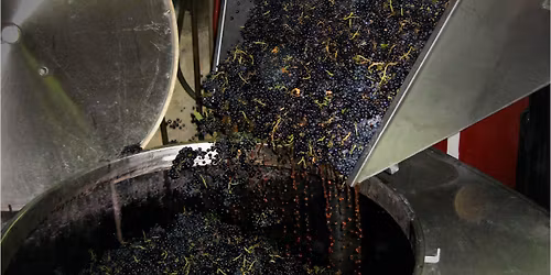 WineTREK - Nem csak - \u00dajborok