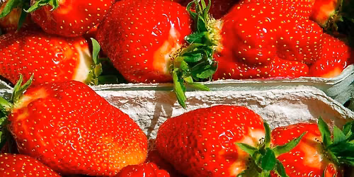 Cooking Class: Strawberry Fields Forever