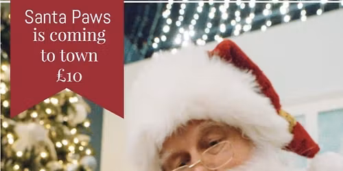 Santa Paws