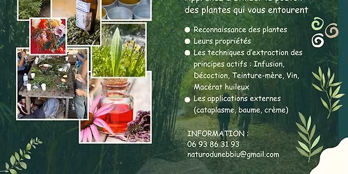 Formation plantes m\u00e9dicinales