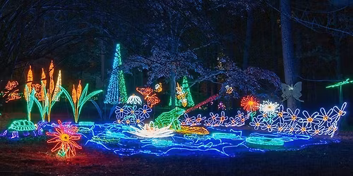 Boomers Gen X Group Holiday Lights