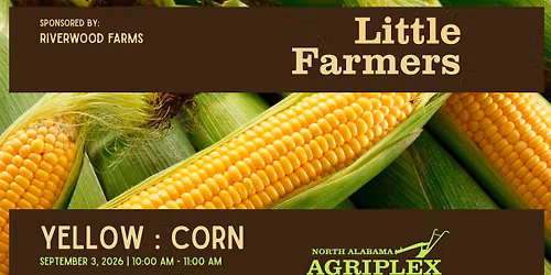 Little Farmers: YELLOW - CORN