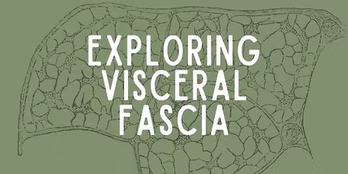Exploring Visceral Fascia