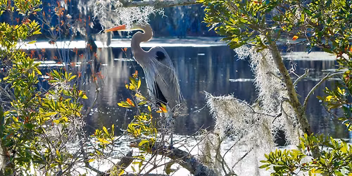 Landscape & Wildlife Photography