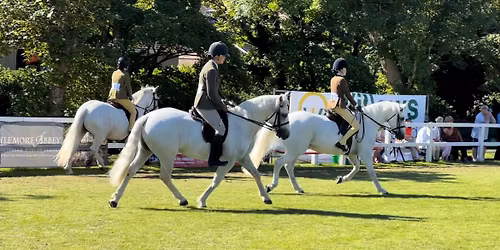 Suomen Connemarayhdistys ry:n ratsastusluokka- ja working hunter pony -kilpailut