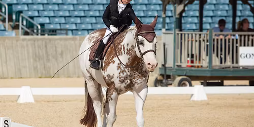 KDA Spring Warmup Show & 39th Annual Show