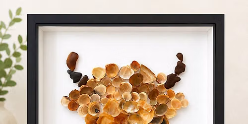 Shell Workshop for Brent Lodge Wildlife Hospital