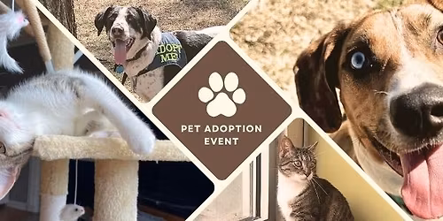 Hollywood Feed Adopt Event