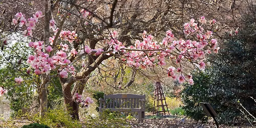 Evening Garden Stroll & Public Tour