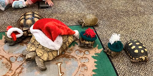 Dec 2026 Christmas Meeting