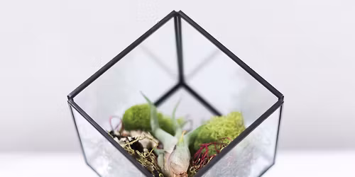 Have a Dabble Masterclass: Copper-foil terrarium