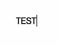 TEST